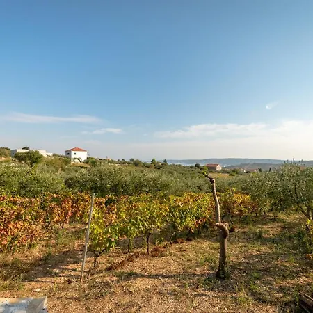 Villa Pax